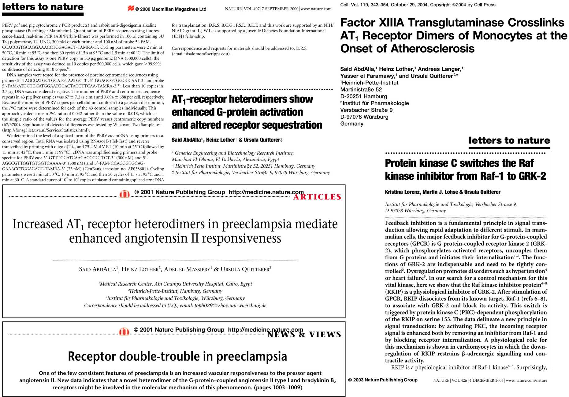 Enlarged view: Overview of publications